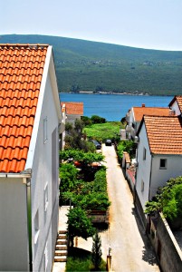 DSC 4455